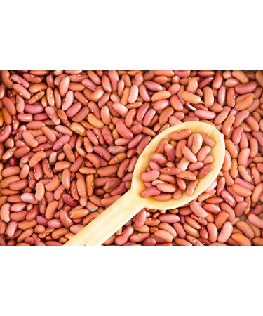 Hunza Organic Light Red Kidney Beans (2 lbs) 2 Pound (Pack of 1) - Buy Online on GoSupps.com