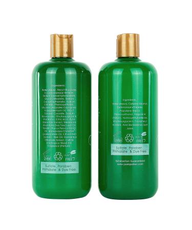 Natural Oily Hair Shampoo & Conditioner Set for Itchy Scalp Treatment - No Sulfates - Women & Men - All Hair Types - Buy Online on GoSupps.com