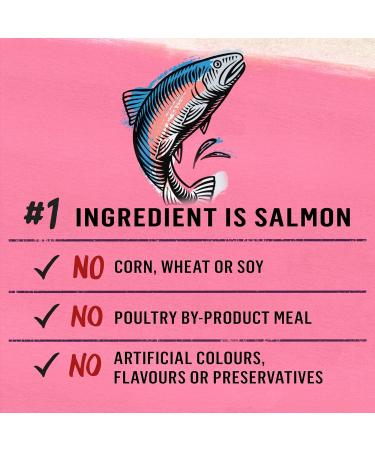 Beyond Wet Cat Food Wild-Caught Salmon Pate - 85 g Can (12 Pack) & Wet Cat Food Wild Caught Tuna Wild Alaskan Cod & Carrot in Gravy - 85 g Can (12 Pack) Cat Food + Cat Food Tuna - Buy Online on GoSupps.com