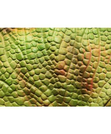 DINOSAUR SKIN Print A4 Cake Wrap/Cake Ribbon Cake Topper wafer/icing (ICING PAPER) - Buy Online on GoSupps.com