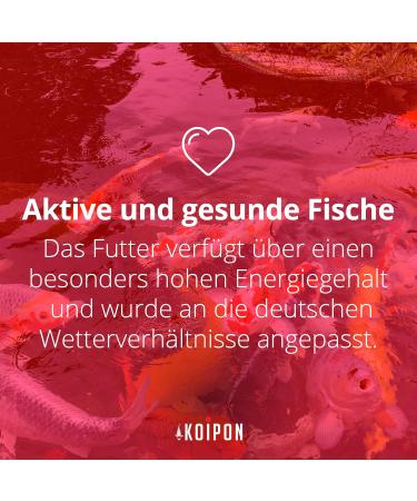 Koipon Performance Summer Koi Food 2kg - 6% Spirulina Floating Pellets for Pond & Goldfish - Premium Color Enhancer - Buy Online on GoSupps.com