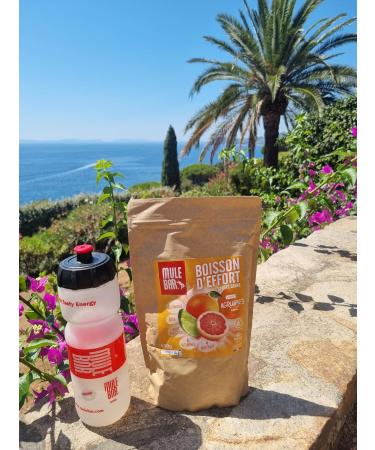 MULEBAR - Powdered Sports Drink - Citrus - Isotonic Drink - Antioxidant - 8 Vitamins - 4 Minerals - Easy to Digest - Made in France - 600gr - Buy Online on GoSupps.com