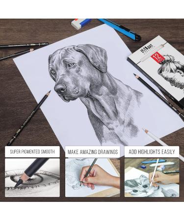 Galart Supplies Charcoal Drawing Set - 12 Piece Pre-Sharpened Pencils for Artists and Beginners | Soft, Medium, Hard, and White Charcoal Pencils for Drawing, Shading, and Sketching with Organizer Tray - Buy Online on GoSupps.com