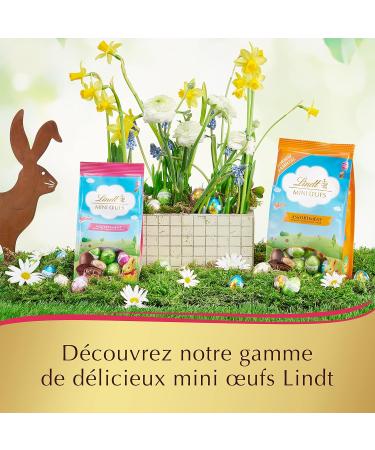 Lindt - Bag of Mini Eggs - Assorted - Milk Chocolate Praline and Black - Ideal for Easter 180 g - Buy Online on GoSupps.com