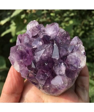 Crystal Rough Specimen Healed Natural Raw Amethyst Quartz Purple Crystal Cluster Stones Specimen As a Gift (Size : 150-200g) - Buy Online on GoSupps.com