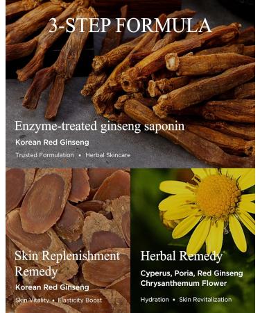 DANAHAN Bon Yeon Jin Red Ginseng Toner for Dry Skin Non-Sticky Patented Saponin + 7 Hanbang Herbs Alcohol Free Large Size 5.41 fl.oz Anti-Aging Firming for Women Men Elasticity Support - Buy Online on GoSupps.com