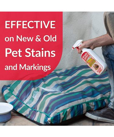 Simple Green Advanced Dog Stain & Odor Remover - Large Dogs Bacteria & Enzyme Cleaner - 32 oz Sprayer - Buy Online on GoSupps.com