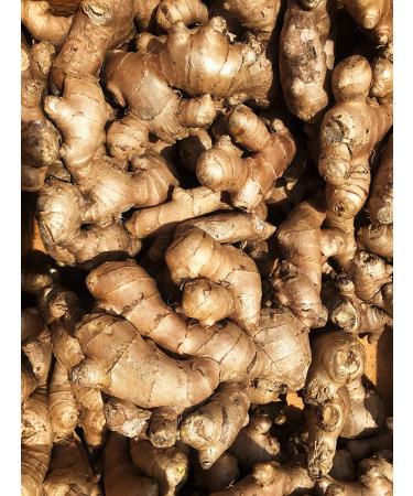 USDA Certified Organic Peruvian Fresh Ginger Root - 2 LB - Buy Online on GoSupps.com