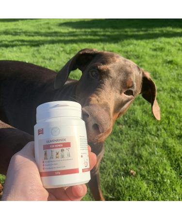 Premium Slippery Elm Bark for Dogs - Petgold 100g | Natural Dog Health Supplement - Buy Online on GoSupps.com