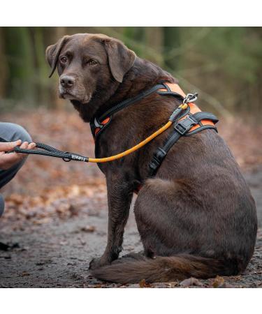 Floxik Short Guide for Dogs - 12mm Reflective Climbing Rope Leash | Ideal for Leash Training & Free-Range Activities | Bright Orange - Buy Online on GoSupps.com