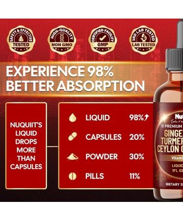 11in1 Liquid Ginger Extract with Vitamin D3 Vitamin K2 Turmeric Ceylon Cinnamon Berberine Extract Garlic Black Pepper - Drops Extract - 1 FL Oz - 2 Month Supply - Buy Online on GoSupps.com