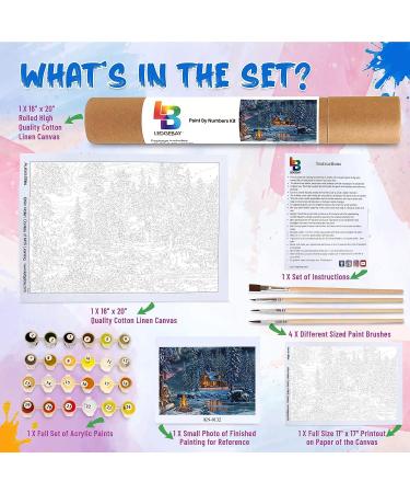 Paint by Number Kit for Adults - Aurora Bliss 16x20 Unframed - Fun DIY Arts and Crafts Project for Beginners to Advanced - Buy Online on GoSupps.com