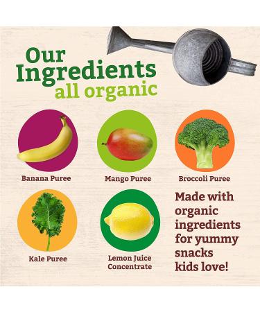 Pumpkin Tree Peter Rabbit Organics Banana Mango Kale Squeeze Pouch, Pack of 10 - 4.4oz each - Buy Online on GoSupps.com