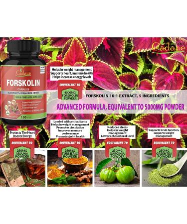 Forskolin Extract Capsules 5000mg - 5 Month Supply | With Turmeric, Arjuna, Garcinia Cambogia & Green Tea | Nourishing Diet Support and Energy Booster - Buy Online on GoSupps.com