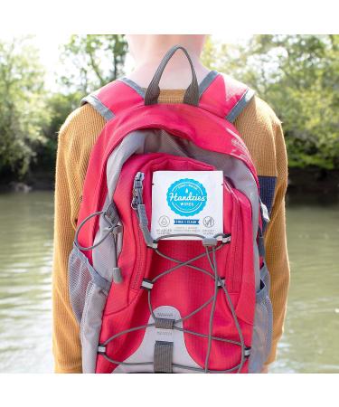 Handzies Natural Soap and Water Hand Wipes - Hypoallergenic, Free and Clear - 24 Individually Packaged Singles - Buy Online on GoSupps.com