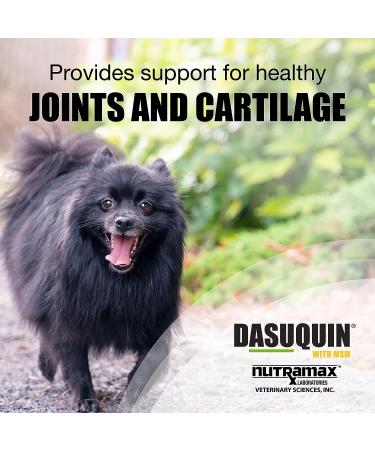Nutramax Dasuquin with MSM Soft Chews 84ct for Small/Medium Dogs - Under 60 lbs - Buy Online on GoSupps.com