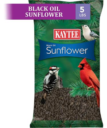 Kaytee Wild Bird Black Oil Sunflower Food - 5 lb Premium Seed for Wild Birds - Buy Online on GoSupps.com