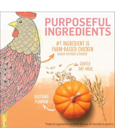Beyond Natural Dry Kitten Food Chicken & Oat Meal - 1.36 kg Bag - Buy Online on GoSupps.com