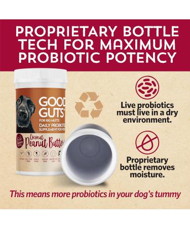 Good Guts Probiotic for Big Dogs - 12 Billion CFUs 11 Strains & Digestive Support | 20-Day Supplement for Adult & Puppy Dogs Over 66 lbs - Buy Online on GoSupps.com