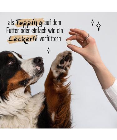 Alphazoo Beer Yeast Tablets for Dogs Cats & Rodents | Fur Care & Natural Anti-Tick | 50 Tablets - Healthy Skin & Shiny Fur - Buy Online on GoSupps.com