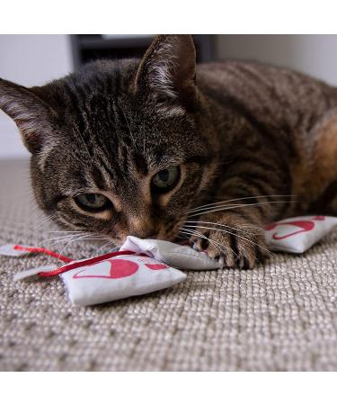 Petlinks Catnip Cat Toys Set of 3 Tea Zing - Fun & Stimulating for Cats & Kittens - Multiple Styles & Sets (Random Color) - Buy Now! - Buy Online on GoSupps.com
