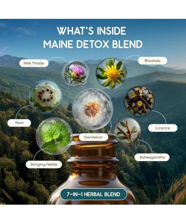 HerbEra Maine Herbal Detox Blend - USDA Organic Extract Made in USA | Immune & Liver Support Liquid Drops | Burdock Dandelion Root Milk Thistle Turmeric Cordyceps | 2 fl oz - Buy Online on GoSupps.com