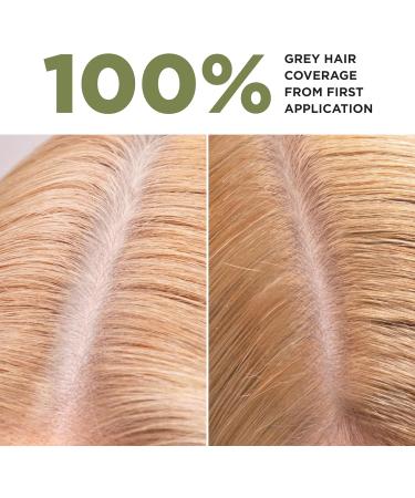 LAZARTIGUE LA COULEUR ABSOLUE - Permanent Hair Dye with Professional Pigments - Ammonia PPD Resorcinol Mineral Oils and Silicone Free 1 box 7.00 - Blond - Buy Online on GoSupps.com