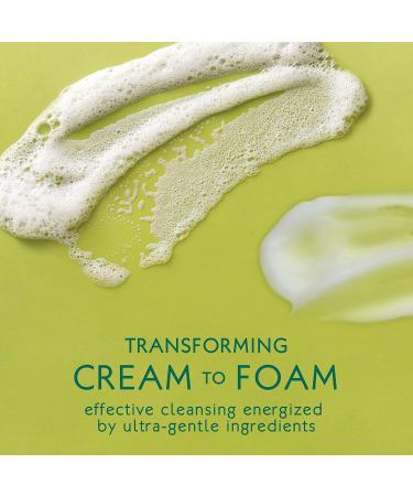 Florapy Beauty Calming Cream Cleanser | Dandelion Lemongrass Aromatherapy | Gentle Makeup Remover | Clean Beauty Skincare - Buy Online on GoSupps.com