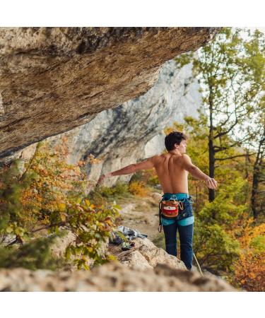 YY Vertical Shiba Inu Chalk Bag for Climbing | Perfect for Adults & Kids | International Shipping Available - Buy Online on GoSupps.com