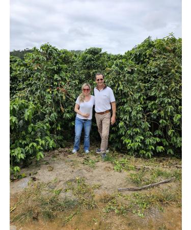 Bernardi s Coffee Green Coffee Bean Raw 100% Brazilian Home Roasting Unroasted (Product of Brazil) Caf de Vert (1kg 2.2Lbs) Single Origin Robusta Green Beans - Buy Online on GoSupps.com