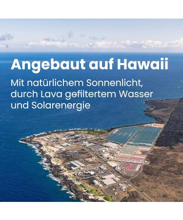 Nutrex Hawaii Pure Hawaiian Spirulina 1000mg 180 Vegan Tablets Gluten-Free Soy-Free Laboratory Tested for Optimal Health - Buy Online on GoSupps.com