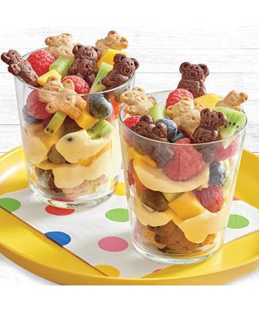 Teddy Grahams Chocolatey Chip Graham Snacks - 10 oz | Delicious and Crunchy Treat - Buy Online on GoSupps.com