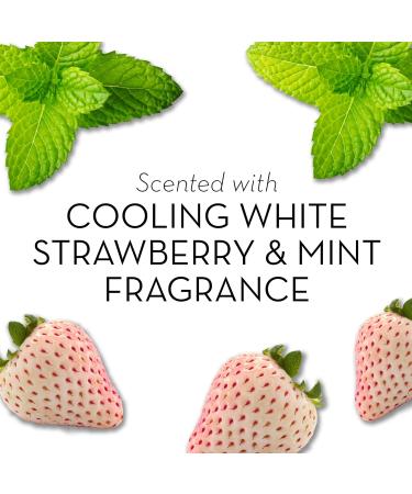 Olay Fresh Mint 24 oz | Refreshing Skincare for All Skin Types | International Shipping Available - Buy Online on GoSupps.com