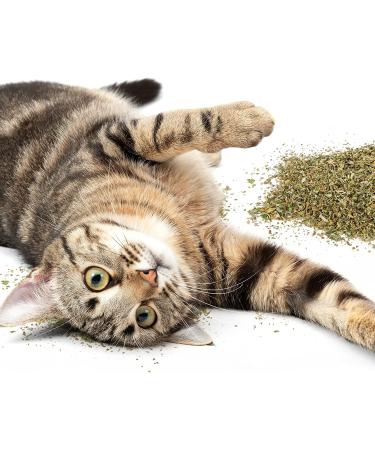SmartyKat Catnip Shaker Canister - 2oz | Premium Catnip for Cats & Kittens - Buy Online on GoSupps.com