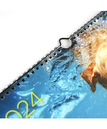 Hunde unter Wasser 2024 - Optimale Ausr stung f r Wasserliebende Hunde | Internationaler Versand - Buy Online on GoSupps.com