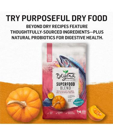 Purina Beyond Grain Free Wet Dog Food in Gravy - Chicken & Sweet Potato, 12.5 oz Cans (12-Pack) - Buy Online on GoSupps.com