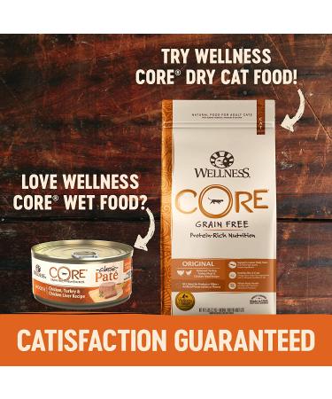 Wellness CORE Grain-Free Indoor Cat Food, 5.5 oz Can, 24-Pack - Natural Wet Recipe - Buy Online on GoSupps.com