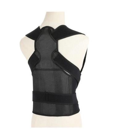 Back Brace Posture Corrector for Men & Women - Adjustable Spine Support & Pain Relief for Scoliosis Hunchback - Fits Waist 26-34 inch - Buy Online on GoSupps.com