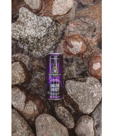 Sambazon Organic Jungle Love Energy Drink - Acai Berry & Passionfruit 12 Fl Oz (Pack of 12) - Buy Online on GoSupps.com