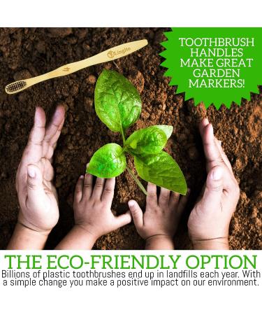 Lingito 6-Pack Natural Charcoal Bamboo Toothbrushes | BPA Free Soft Bristles | Eco Friendly & Vegan | Compostable Organic Toothbrushes | Individually Numbered Active Brushes - 6 Count - Buy Online on GoSupps.com