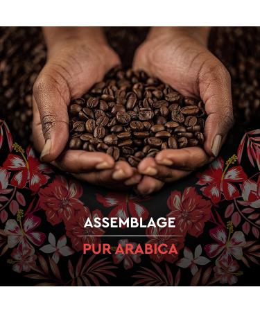  Carte Noire Carte Noire Honduras Selection Pure Organic Arabica Coffee Beans 500g Pack - Buy Online on GoSupps.com