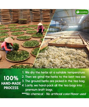 Lavendium Premium 75 JasmineGreen Tea Bags 100% Natural & Pure from Jasmine Green Tea. Jasmine Green Herbal Tea. Made with Natural Material Tea Bags. No Sugar No Gluten Vegan. - Buy Online on GoSupps.com