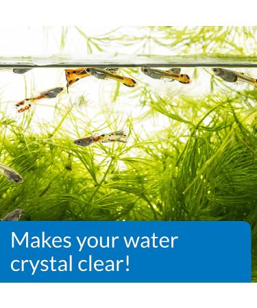 API ACCU-CLEAR 8-Ounce Water Clarifier for Freshwater Aquariums - Clears Cloudy Water Fast! - Buy Online on GoSupps.com
