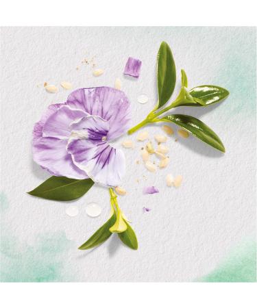 Herbal Essences Pure Passionflower and Rice Milk Nutrition Shampoo 90% natural ingredients Paraben-free Dye-free Silicone-free Paraffin-free 250ml x3 pack - Buy Online on GoSupps.com