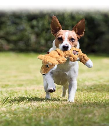 KONG Scrunch Knot Squirrel - Small Interactive Dog Toy | 1 Piece Pack - International Shipping Available - Buy Online on GoSupps.com