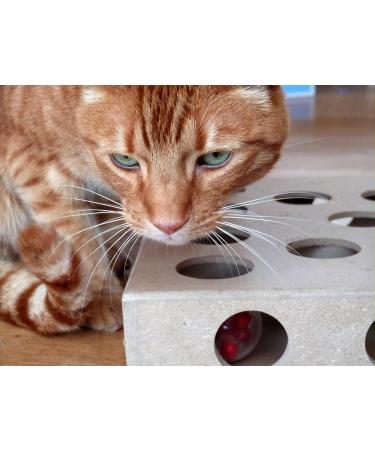 Unique Design - Interactive Indoor Cat Toy Puzzle Box As Seen on Channel 5 s The Secret Life of Kittens - Four Cat Toys Included 3 Balls and a Mouse Best Gift for any Cat Kitten or Their Owner! - Buy Online on GoSupps.com