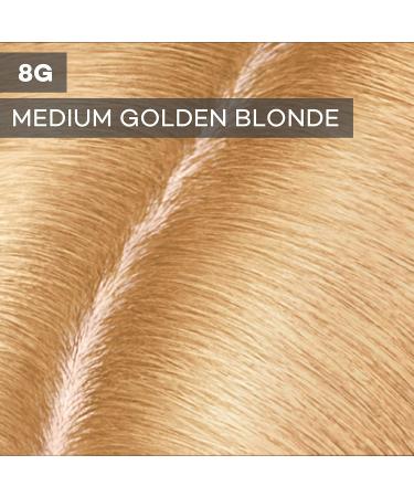 Clairol Root Touch-Up 8G Medium Golden Blonde Permanent Hair Dye Pack of 2 - Buy Online on GoSupps.com
