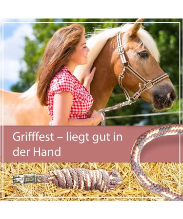 Lead Rope for Horses - 2m Tie Rope with Panic Hook | Stable Accessories in Grey Pastel Red Cream - Buy Online on GoSupps.com