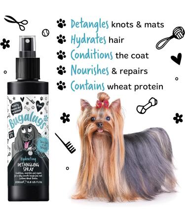 Bugalugs Dog Detangler Spray - leave In conditioner spray for de matting. No tangles. Professional dog grooming formula contains Wheat protein. Pet detangling spray knot removal (200ml) 200 ml (Pack of 1) - Buy Online on GoSupps.com