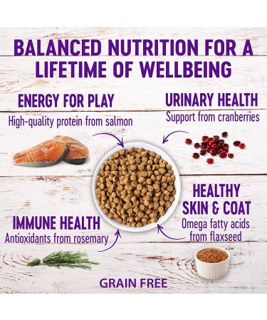 Wellness Complete Health Grain-Free Salmon & Herring Indoor Cat Food - 5.5 lb Bag - Buy Online on GoSupps.com
